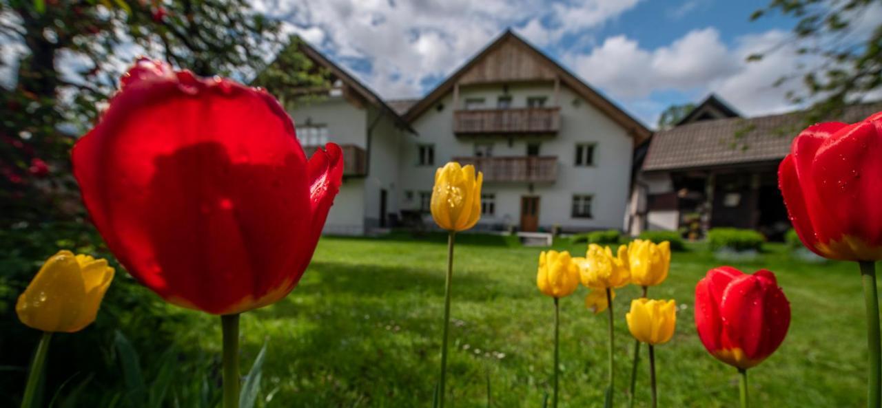 Apartma In Sobe Pr'Objan Bohinj Exterior photo
